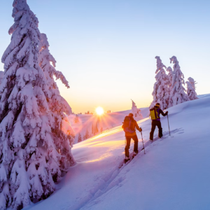 LEKI: Innovating Skiing, Trekking, and Nordic Walking Gear