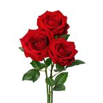 海盐芝士红汤面