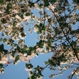 向前002 | 拜托，你不是已经很棒了嘛！