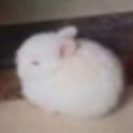 久悦时思