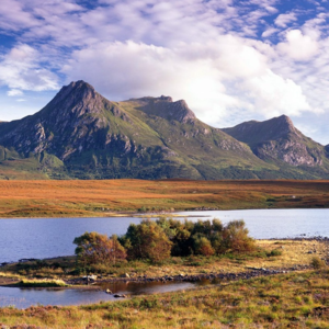 西海情歌（英文版）