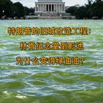 特朗普专心旧城改造：为什么林肯纪念堂倒影池变得绿油油？EP.41