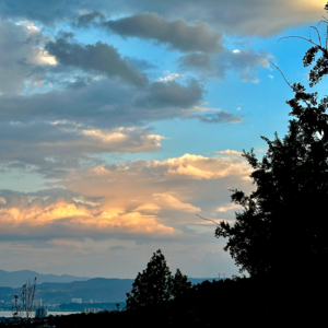 Ep5.交卷啦！高考是单人副本，蜜月是双人浪漫任务！