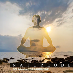 闭气冥想[中级]·礁滩朝霞