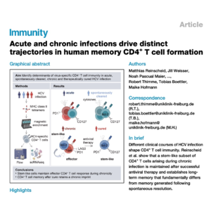 804-Fates and Trajectories of Human Memory CD4+T Cells