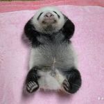 小Aimee