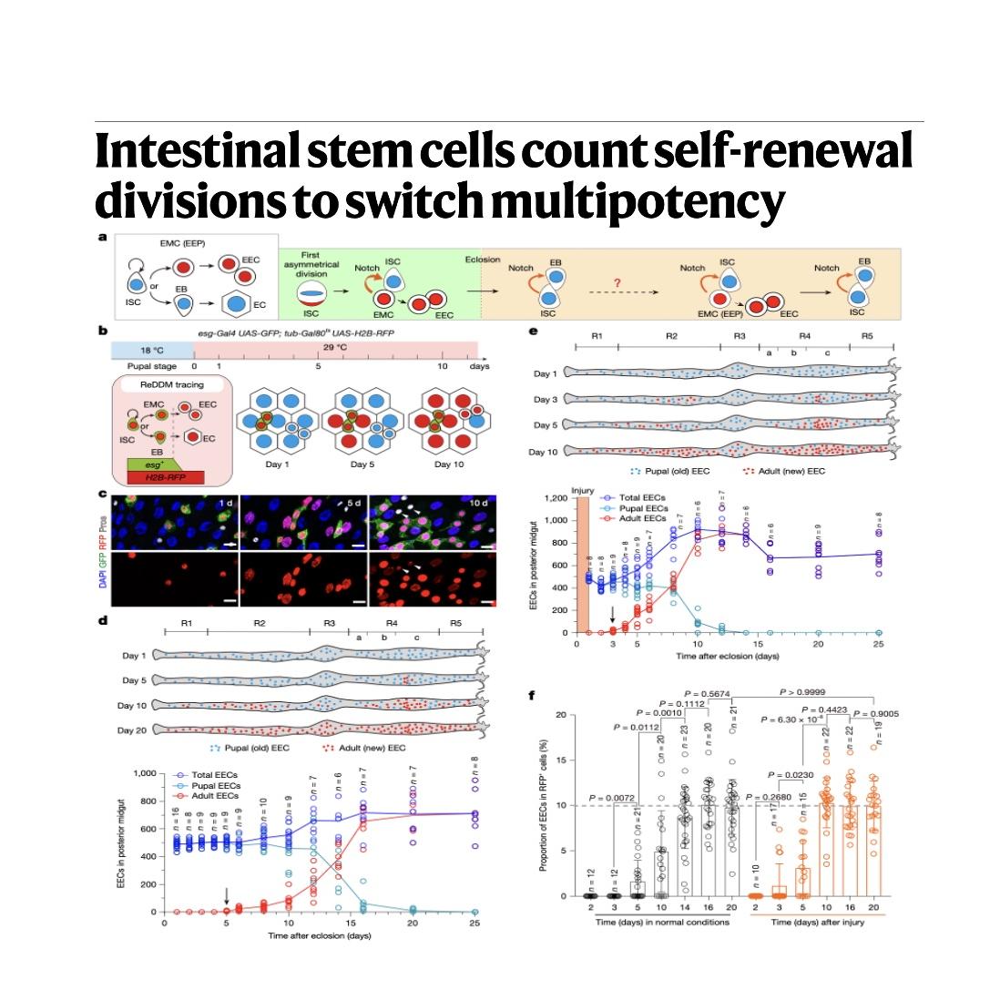 1534-Stem Cell Multipotency Switching episode artwork