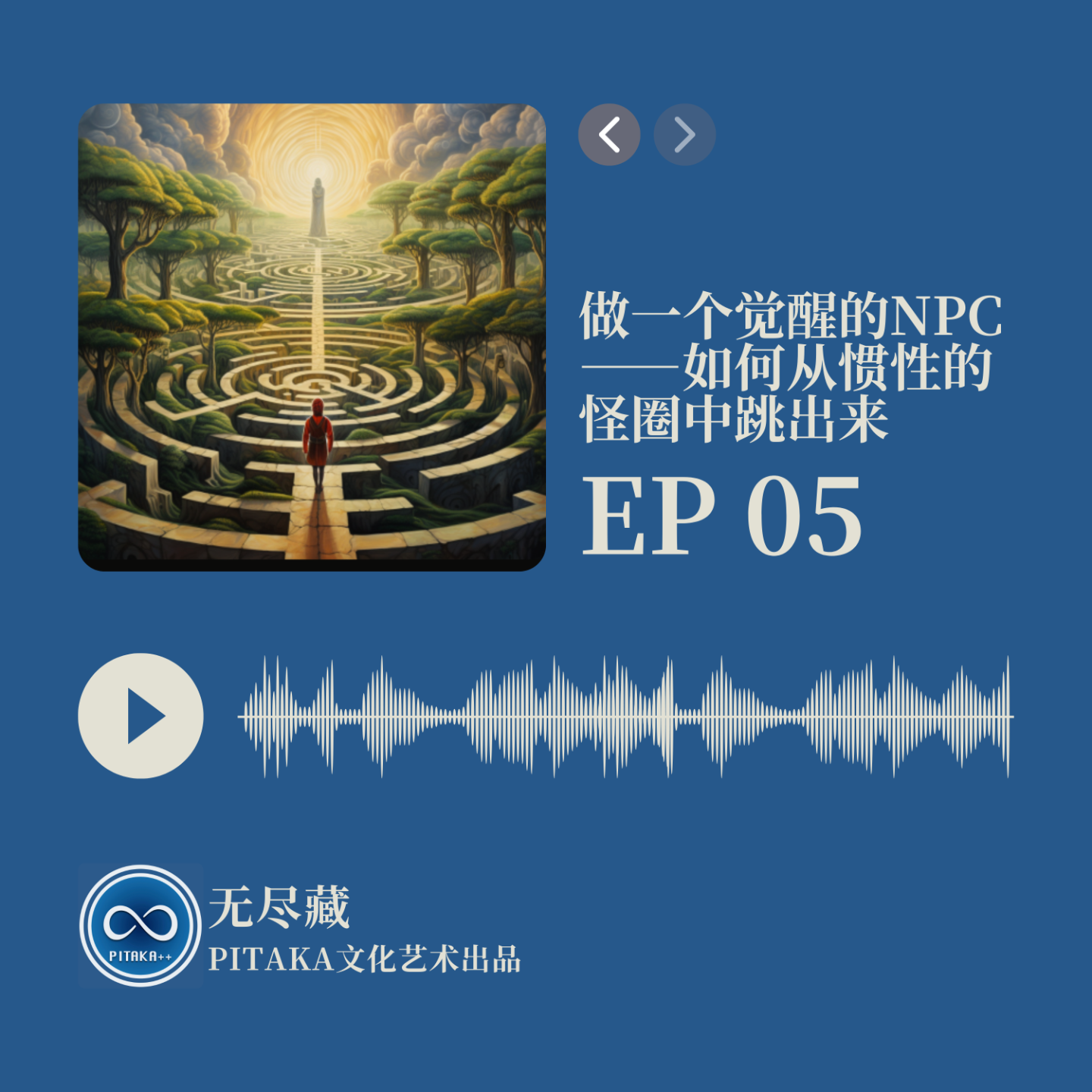 Ep05.做一个觉醒的NPC ——如何从惯性的怪圈中跳出来 episode artwork