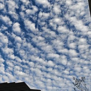 蛋蛋不淡淡的个人播客