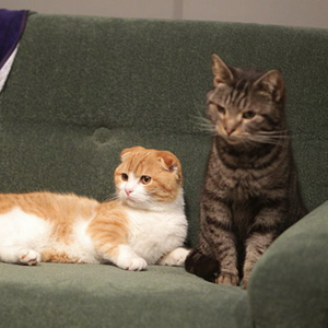 [叶沙信箱]变得比现在更好才行