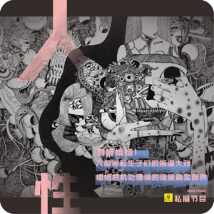 【私播27】豪门入赘男私生子被戳穿，上演撕逼大戏！婚姻危机处理师的海量真实案例