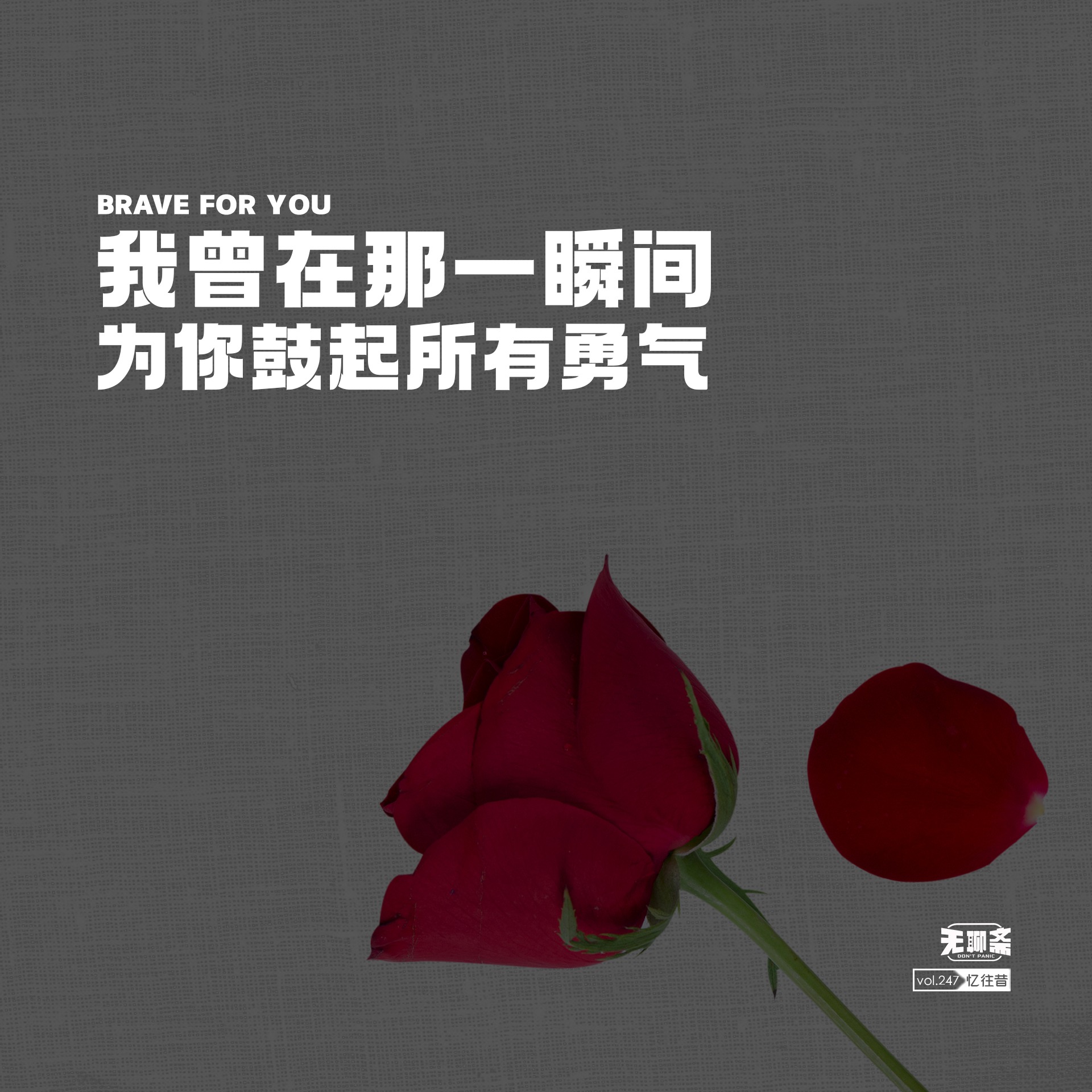 vol.247 我曾在那一瞬间为你鼓起所有勇气