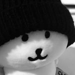 橄榄树在颐和园晒月亮
