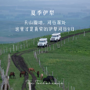 一年一度的主题讨论，2026年哪里才是真实的伊犁河谷？