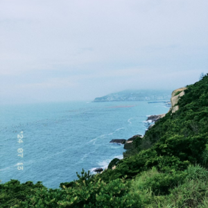 Vol.061|处女座黑心夫妇:海岛义工撕逼之旅(上)