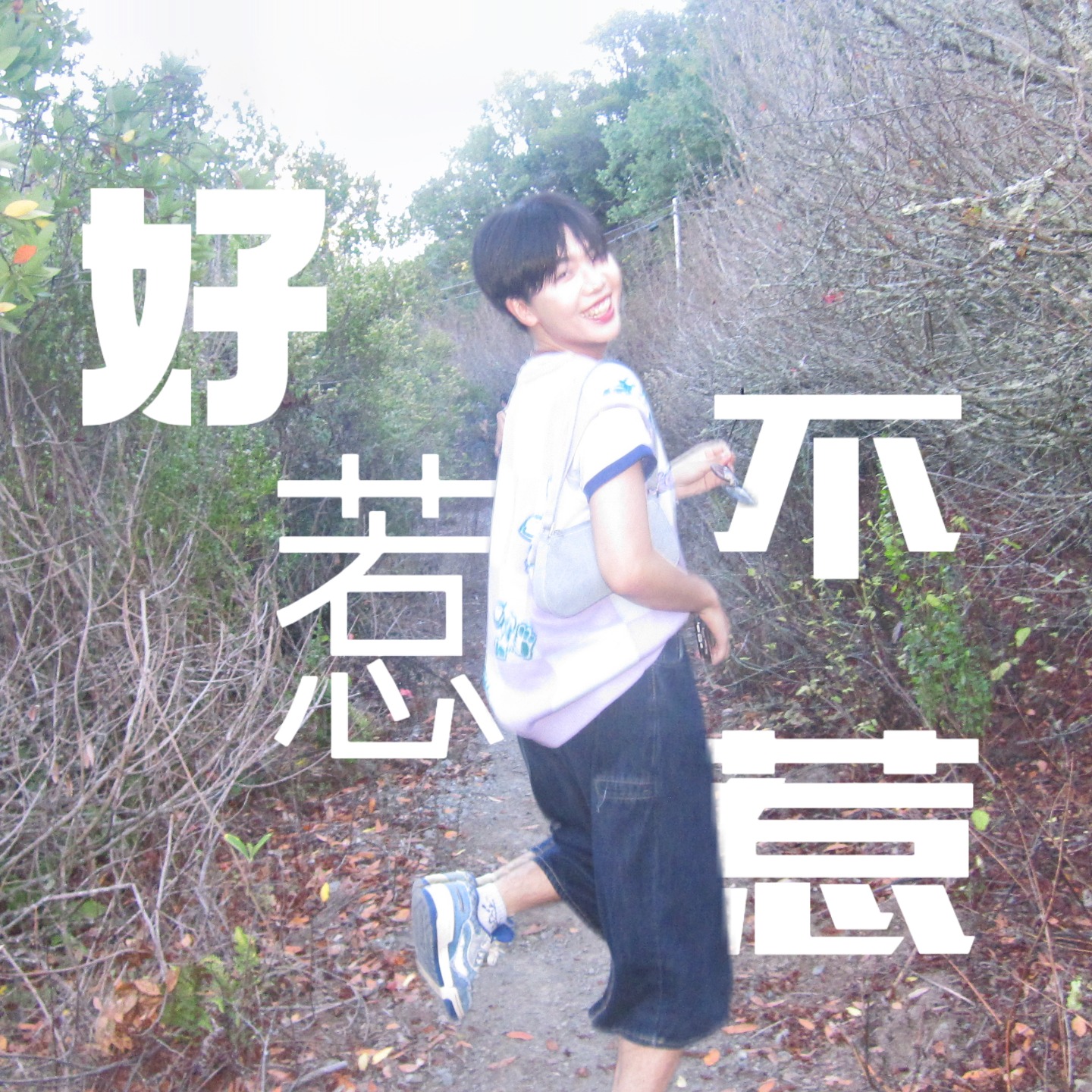 好惹不惹