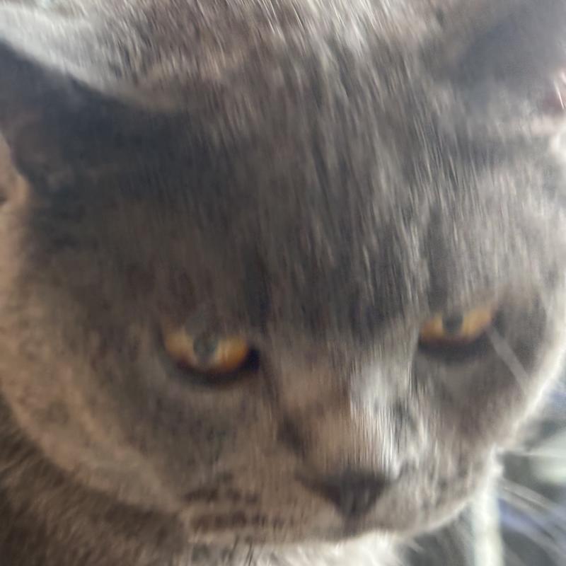 又要取名字好烦