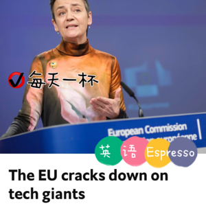 【155】欧盟向科技巨头开火