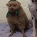 改名字了叫蒲悦潇