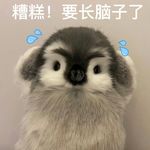 Momo用户不存在