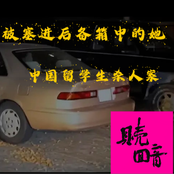 EP28.被塞进后备箱中她-中国留学生杀人案 episode artwork