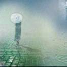 屋檐下雨愁喵喵嘎