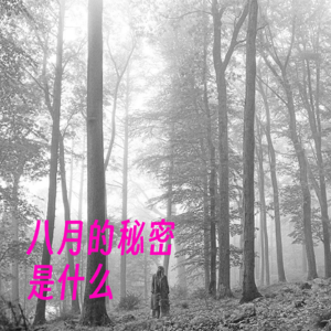 以“八月”为名的歌，有甜蜜也有遗憾