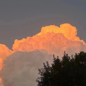 羞于表达自己的想法？总是放不开？我们到底是在害怕些什么？