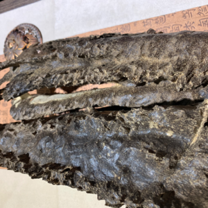 海南沉香绝版的传奇——康康料