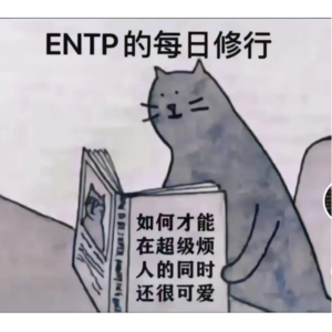  如何讨人喜欢？但需要讨人喜欢吗？我们的社交效率平衡学&社交机缘说