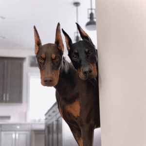 半瓶醋#Beats&有氧日（六）