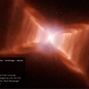 对话小代 | 从不婚主义到准二娃妈妈/十年回顾/家庭生活/新手妈妈/职业规划/自我成长