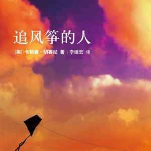 一句话，一生救赎---重读《追风筝的人》