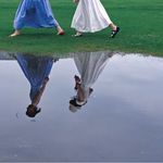 大椿八八八千岁