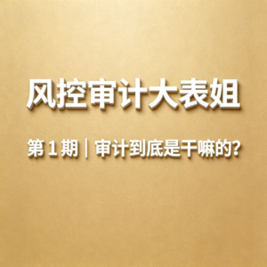 第1期|审计到底是干嘛的?90% 的人都理解错了