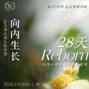 种子法则：种出想要的生活