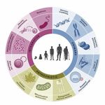 你的专属菌群翻译官