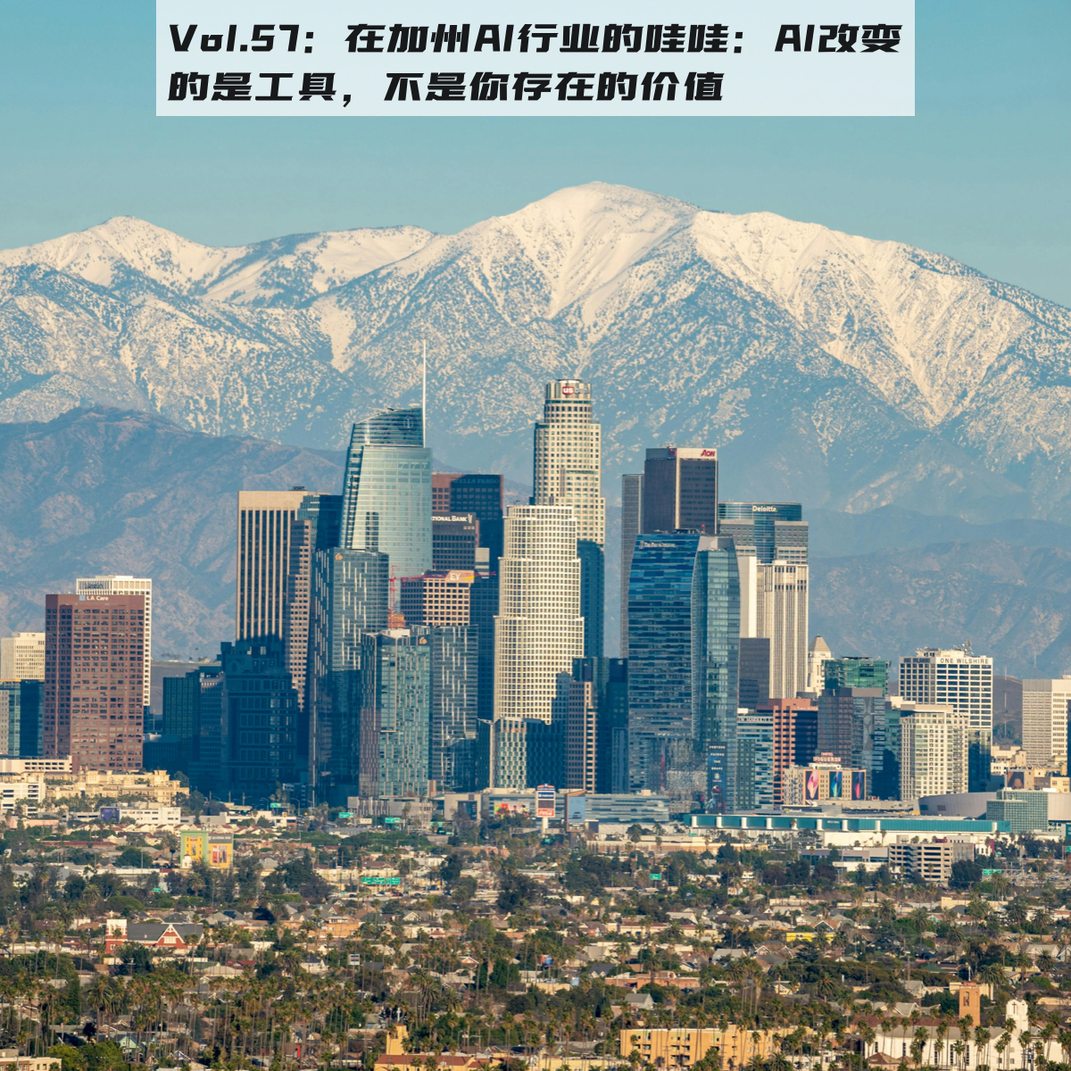 Vol.57：在加州AI行业工作的她：AI取代的是工具，不是你存在的价值