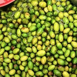 103. 给阿嬷的美食情书