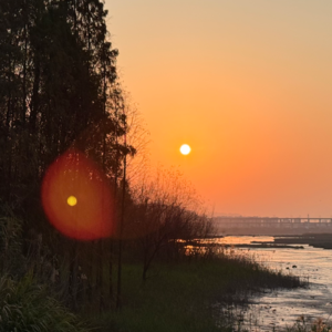 Vol.096 爱情的本质，是找到那个完整的自己｜荣格：你爱上的其实是自己的一部分