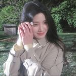 呆qi鹅