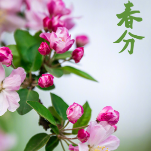 第102期【夏说】聊一聊这个特别的春分