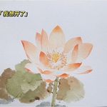 Lotus_Ross