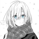 宋花花花花花花