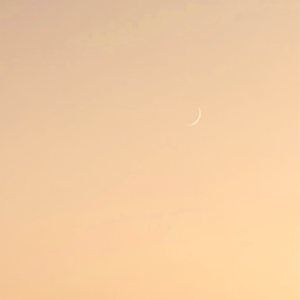 69. 和喜欢的自己在一起也是一种团圆