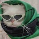 不早睡成功不改名