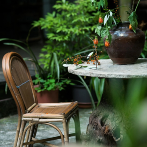 5、黄帝内经帮你认知自我