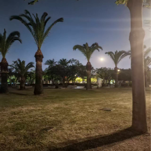 vol.4 一人公司的年终述职报告