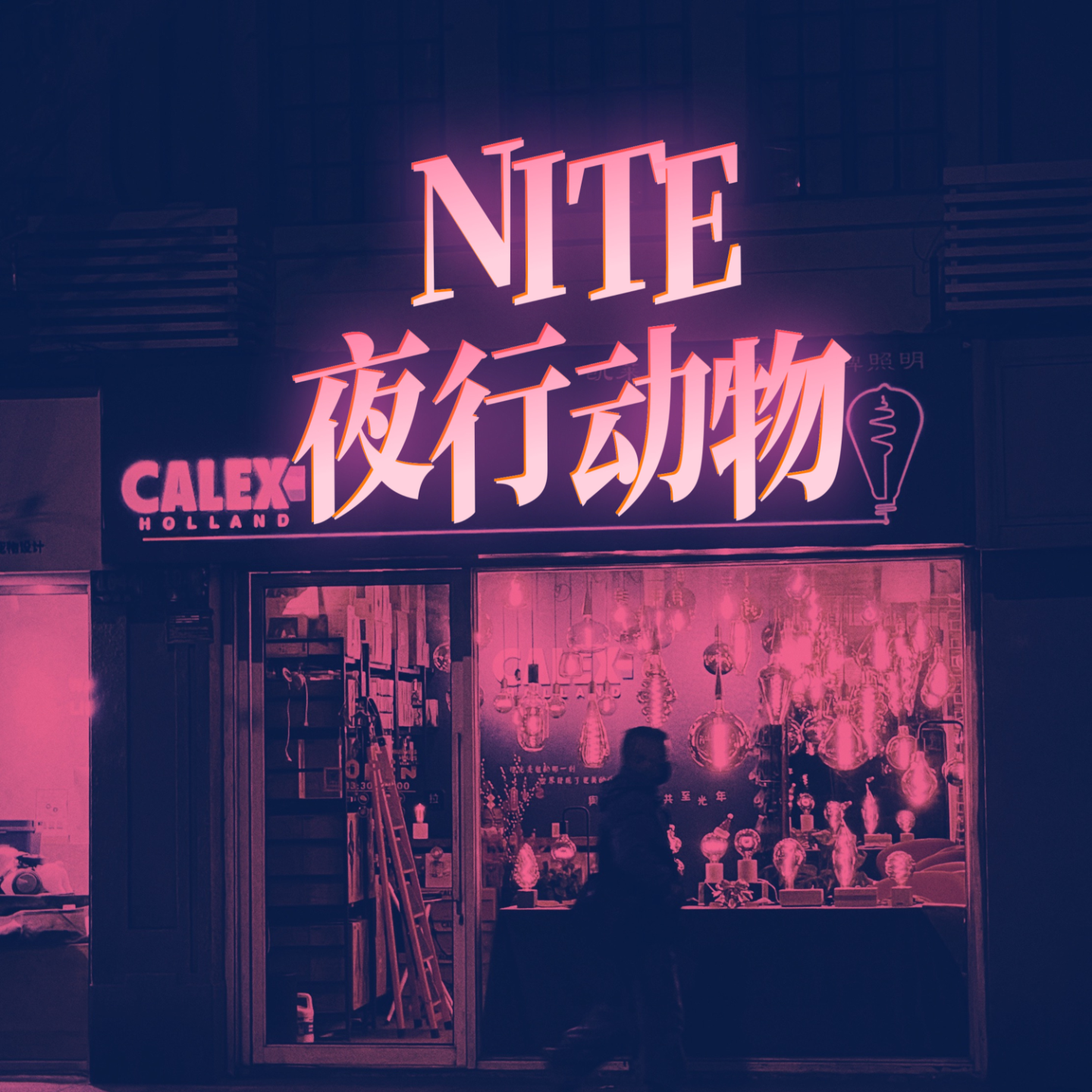 夜行动物NITE