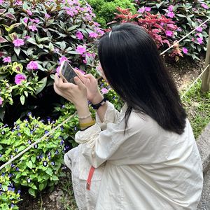 爱吃薯条的诸葛竹韵
